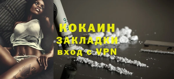 гашик Аркадак