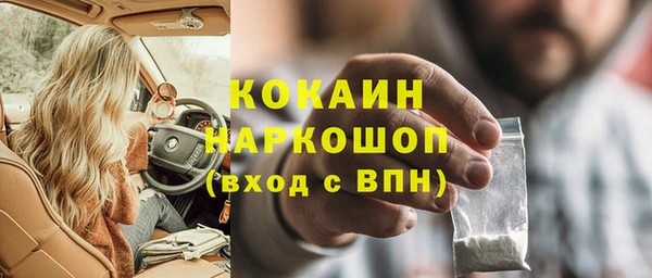 гашик Аркадак
