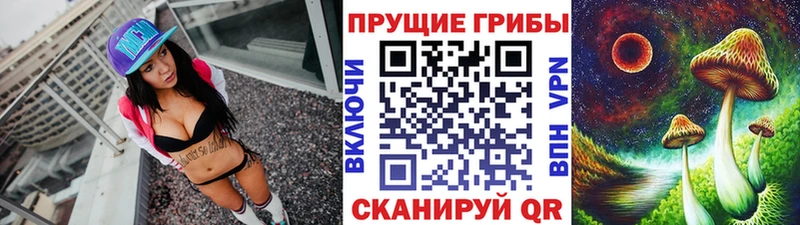 Галлюциногенные грибы Psilocybe  что такое   Валдай 
